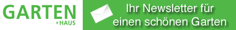 Banner-G+H.gif  red.
