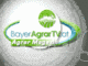 bz_video_anim.gif &copy; Archiv