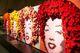57. Internationale Gartenbaumesse mit Europas gr��ter Blumenschau  Tullner Messe/APA-Fotoservice/Preiss