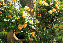 [1201520716.gif]