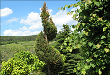 [1201520750.gif]