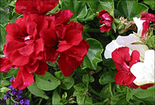 [1201520764.gif]
