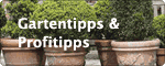 Gartentipps und Profitipps &copy; Archiv