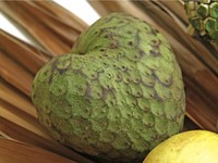 Cherimoya &copy;iStockPhoto