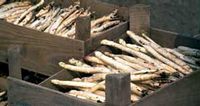 Die Jahreszeit f�r frisches Obst und knackiges Gem�se aus heimischen Gefielden, von der P�llauer Hirschbirne bis zum Marchfelder Spargel. &copy;Newman