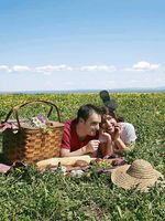 Picknick zu zweit &copy;iStockPhoto