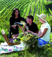 F�nf-Sterne-Picknick &copy;Donau Nieder�sterreich/Hans Eder