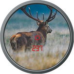 4_Anzeige.jpg &copy; Norbert Klups