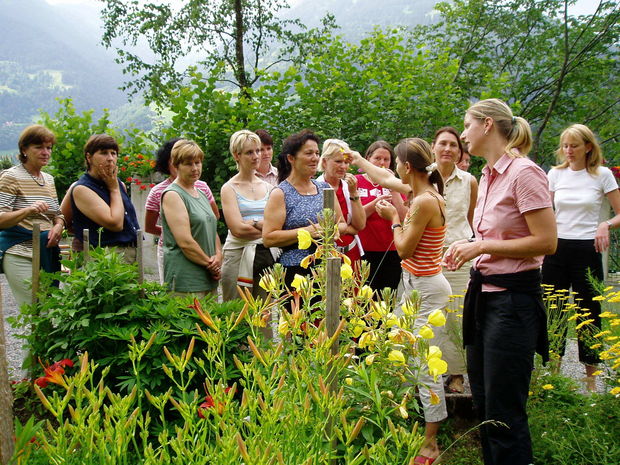 Ihr Wissen wächst © LFI Vorarlberg Ihr Wissen wächst © LFI Vorarlberg