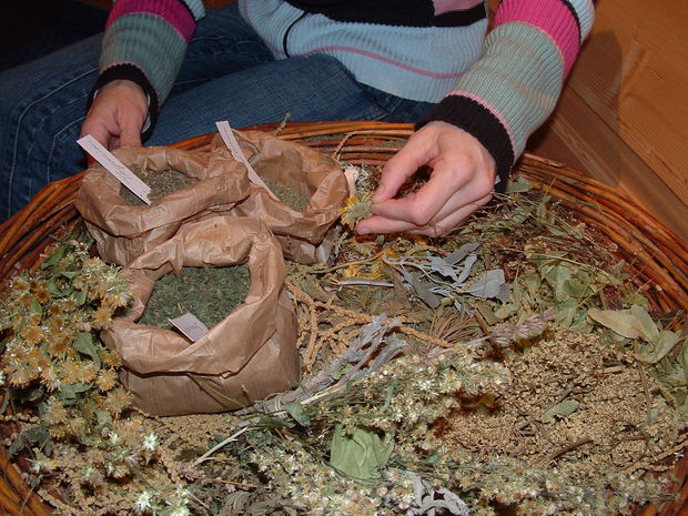Kr�uter_3.JPG � Nessi Seiringer