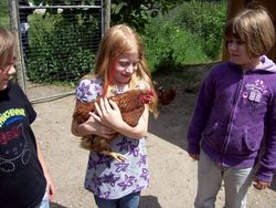 SaB_Kind mit Huhn_Pollan