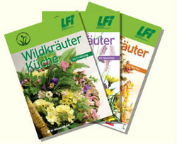 Wildr�uter K�che in 3 Teilen � LFI O�