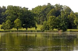 Karpfenteich1 � BMLFUW/Rita Newman