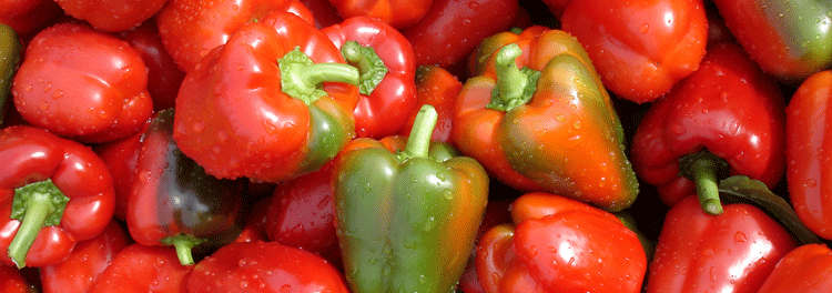 roter-Paprika
