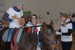 Reitpaedagogik LFI Salzburg Reitpaedagogik LFI Salzburg
