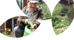 greencare_folderbild greencare_folderbild
