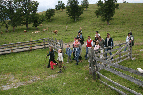 Almwandertage.gif © NÖ Alm- und Weidewirtschaftsverein Almwandertage.gif © NÖ Alm- und Weidewirtschaftsverein