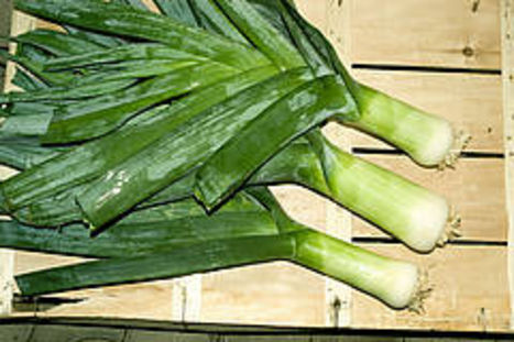 Lauch © AMA Marketing Lauch © AMA Marketing