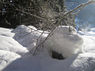 14 Bienen Winter &copy; Heidrun Singer