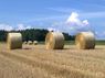 Kategorie 1: Bäuerinnen und Bauern, Platz 3 Kategorie 1: Bäuerinnen und Bauern, Platz 3