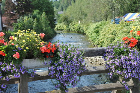 DSC 0859 © LK NÖ , Gartenbau DSC 0859 © LK NÖ , Gartenbau