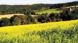 Landwirtschaftliche-Flächen.jpg © Dipl.-Ing. Heinz Krichbaumer Landwirtschaftliche-Flächen.jpg © Dipl.-Ing. Heinz Krichbaumer