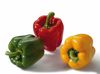 Paprika_Tricolore.jpg © LGV Frischgemüse Paprika_Tricolore.jpg © LGV Frischgemüse