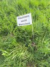 Hundehaufen © Johann Gierlinger Hundehaufen © Johann Gierlinger