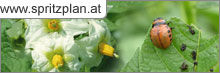 www.spritzplan.at &copy; Archiv