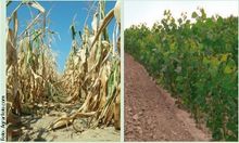 Neues Bild (1) &copy; Archiv