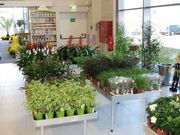 Kottingbrunn12 &copy; Archiv