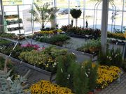 Kottingbrunn14 &copy; Archiv