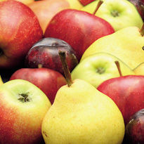 Obst &copy; Archiv