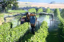 Weinspritzung &copy; Archiv