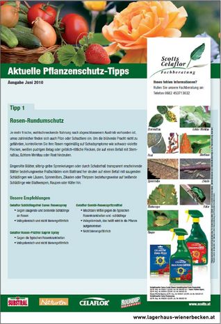 Pflanzenschutz-Tipps Juni 01 © Archiv Pflanzenschutz-Tipps Juni 01 © Archiv