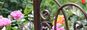 Garten Blumen  RWA