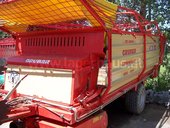 Gruber L28H
