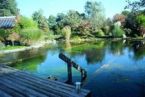 Schwimmteich &copy; Archiv