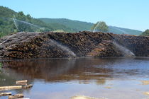 Staubbindung und Holzplatzbew�sserungen &copy; Archiv